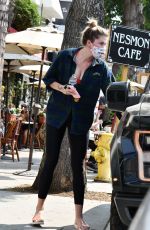 IRELAND BALDWIN Out for Lunch in Studio City 09/16/2020