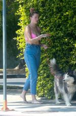 IRELAND BALDWIN Out with Her Dog in Los Angeles 09/03/2020