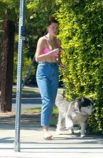 IRELAND BALDWIN Out with Her Dog in Los Angeles 09/03/2020