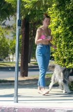 IRELAND BALDWIN Out with Her Dog in Los Angeles 09/03/2020