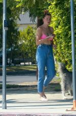 IRELAND BALDWIN Out with Her Dog in Los Angeles 09/03/2020
