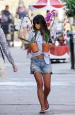 JORDANA BREWSTER Out Shopping in Santa Monica 09/06/2020
