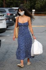 JORDANA BREWSTER Shopping at Brentwood Country Mart 09/09/2020