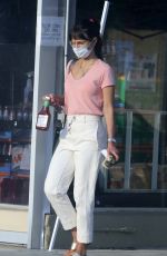 JORDNA BREWSTER Shopping at Grocery Store in Los Angeles 09/28/2020