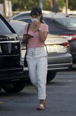 JORDNA BREWSTER Shopping at Grocery Store in Los Angeles 09/28/2020