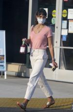 JORDNA BREWSTER Shopping at Grocery Store in Los Angeles 09/28/2020