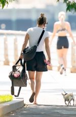 KALEY CUOCO Out with Her Dog in New York 08/30/2020