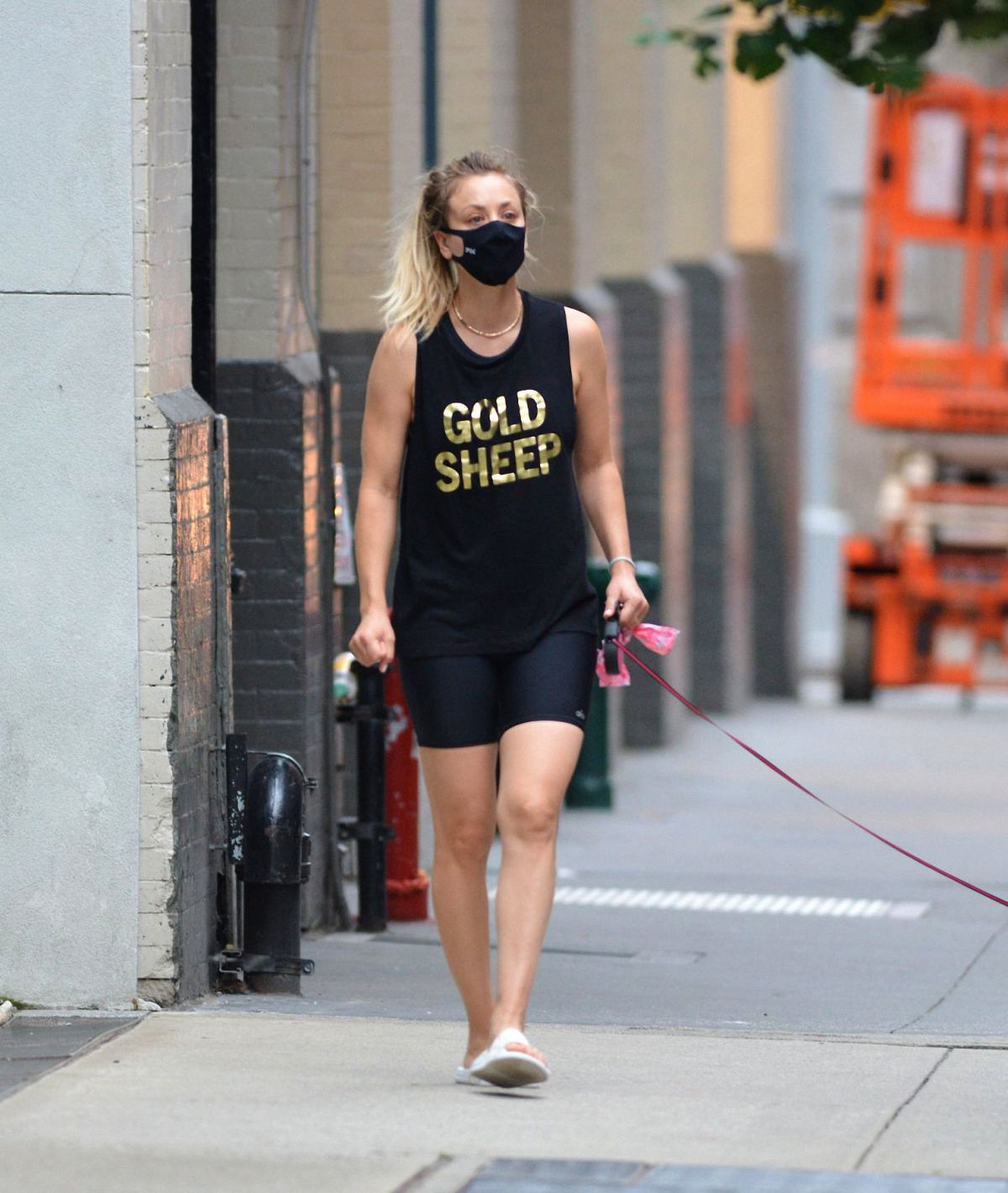 KALEY CUOCO Out with Her Dog in New York 09/15/2020.