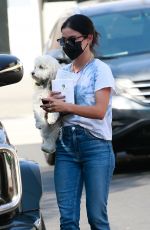 LUCY HALE Out with Her Dog in Sherman Oaks 09/27/2020