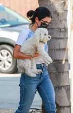 LUCY HALE Out with Her Dog in Sherman Oaks 09/27/2020