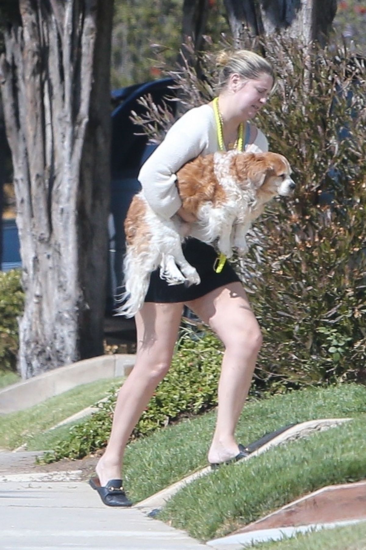 mischa-barton-with-her-dog-outside-her-home-in-los-angeles-09-25-2020-3.jpg