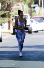 NICOLE SCHERZINGER and Thom Evans Heading to a Gym in Los Angeles 08/26/2020