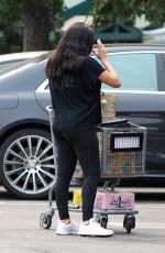NIKKI BELLA Shoppinh at Whole Foods in Sherman Oaks 09/11/2020