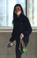 NINA DOBREV Arrives with her Dog at Airport in Vancouver 09/11/2020