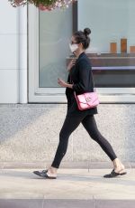 NINA DOBREV at a Louis Vuitton Store in Beverly Hills 09/07/2020