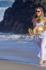 OLIVIA WILDE Out on the Beach in Malibu 09/06/2020