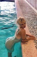 PAMELA ANDERSON at a Photoshoot 2020