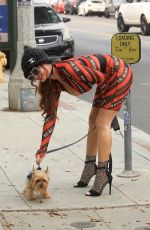 PHOEBE PRICE Out with Her Dog in Beverly Hills 09/11/2020