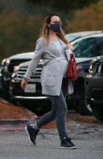 Pregnant RACHEL MCADAMS at a Park in Los Angeles 09/23/2020