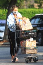 REBECCA GAYHEART Out Shopping in Beverly Hills 09/14/2020