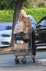 REBECCA GAYHEART Out Shopping in Beverly Hills 09/14/2020