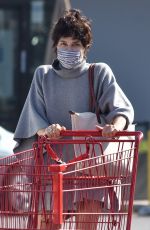 SELMA BLAIR Out Shopping in Studio City 09/22/2020