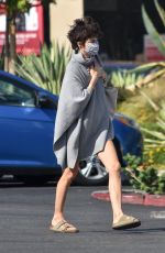 SELMA BLAIR Out Shopping in Studio City 09/22/2020