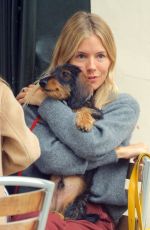 SIENNA MILLER Out with Her Dog in London 09/08/2020
