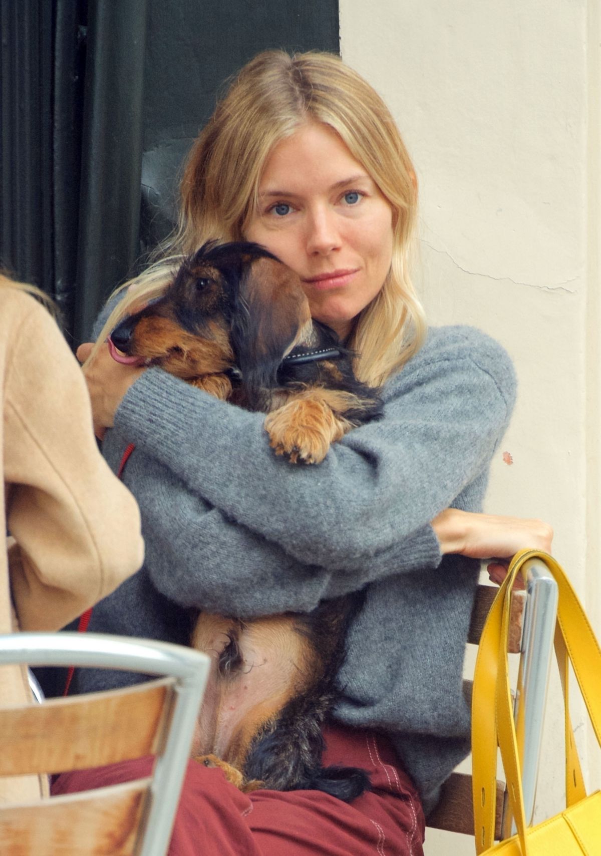 sienna-miller-out-with-her-dog-in-london-09-08-2020-2.jpg