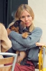 SIENNA MILLER Out with Her Dog in London 09/08/2020