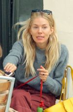 SIENNA MILLER Out with Her Dog in London 09/08/2020