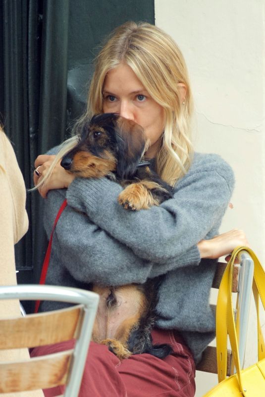 SIENNA MILLER Out with Her Dog in London 09/08/2020