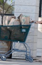 TIFFANI THIESSEN Shopping at Whole Foods in Los Angeles 08/30/2020