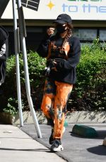 VANESSA HUDGENS Out and About in West Hollywood 08/31/2020
