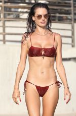 ALESSANDRA AMBROSIO in a Red Bikini at a Beach in Malibu 10/11/2020