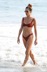 ALESSANDRA AMBROSIO in Bikini at a Beach in Santa Monica 10/17/2020