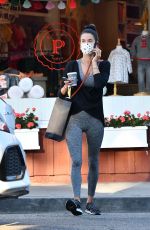 ALESSANDRA AMBROSIO Out for Ice Cream 10/28/2020