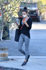 ALESSANDRA AMBROSIO Out for Ice Cream 10/28/2020
