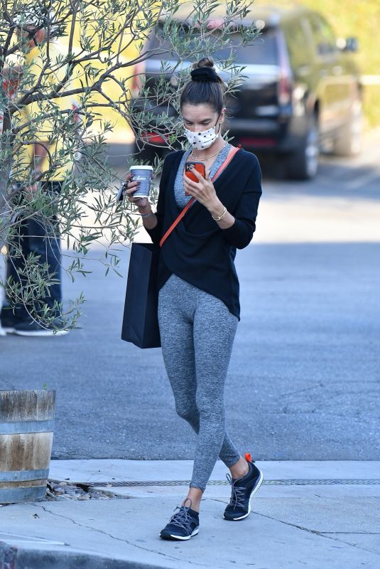 ALESSANDRA AMBROSIO Out for Ice Cream 10/28/2020