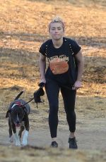 AMBER HEARD Out Hiking with Her Dog in Los Angeles 10/17/2020