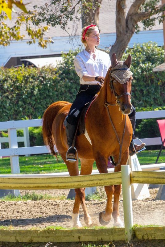 AMBER HEARD Riding a Horse Out in Los Angeles 10/13/2020