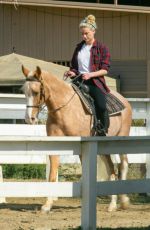 AMBER HEARD Riding Her Horse in Los Angeles 10/27/2020