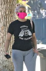 ARIEL WINTER and Luke Benward Out in Los Angeles 10/29/2020