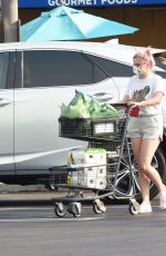ARIEL WINTER Out Shopping in Los Angeles 10/05/2020