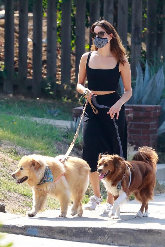 AUBREY PLAZA Out with Her Dogs in Los Angeles 10/04/2020