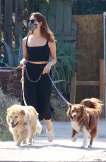 AUBREY PLAZA Out with Her Dogs in Los Angeles 10/04/2020