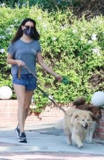AUBREY PLAZA Out with Her Dogs in Los Angeles 10/17/2020