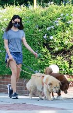 AUBREY PLAZA Out with Her Dogs in Los Angeles 10/17/2020