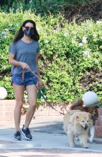 AUBREY PLAZA Out with Her Dogs in Los Angeles 10/17/2020