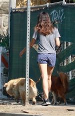 AUBREY PLAZA Out with Her Dogs in Los Angeles 10/17/2020